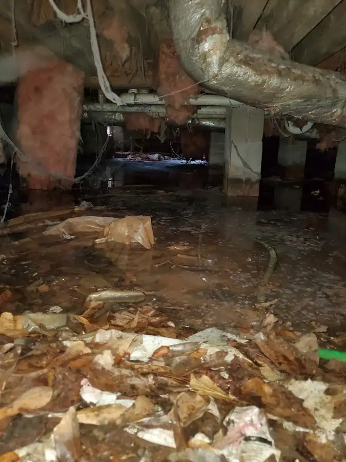 Crawl space flood assessment for Leak Detection & Repair in Converse